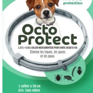 Octoprotect Collier Petit Chien