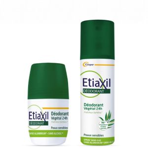 Etiaxil Déo Végétal 24h Fraich Bambou Aérosol 100ml