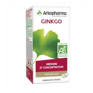 ARKOPHARMA GINKGO BIO 45 GELULES ARKOGELULES