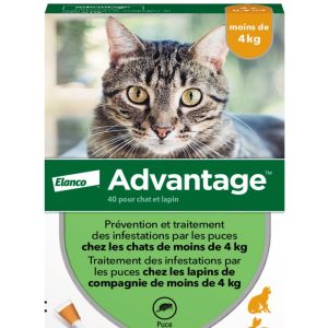 Advantage 40 Chat Lapin 4 Pipettes