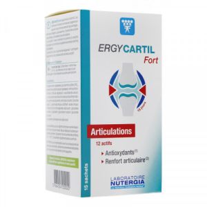 Ergycartil Fort 15 Sachets