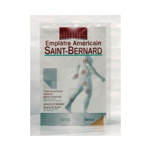 Saint-bernard Empl 20x30cm 1