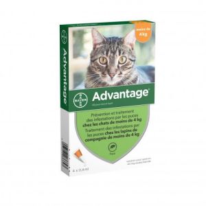 BAYER SANTÉ ANIMALE BAYER ADVANTAGE 80 SOLUTION ANTIPUCE POUR CHAT ET LAPIN DE 4KG ET PLUS 6 PIPETTE