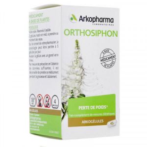 Arkogélules Orthosiphon 45 gélules