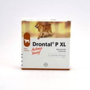 DRONTAL P XL Boite de 2