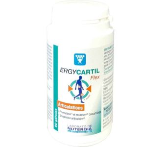 Ergycartil Flex 90 Gel