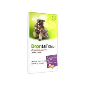 Drontal Chien Cpr Secab Bt4