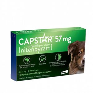 Capstar Grand chien 57mg bte 6