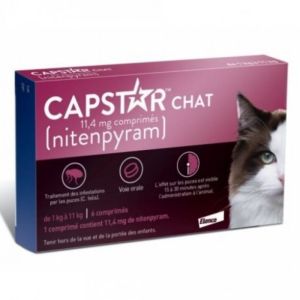 Capstar Chat bte 6