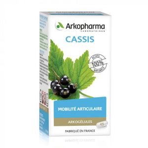 ARKOPHARMA CASSIS 45 GELULES ARKOGELULES