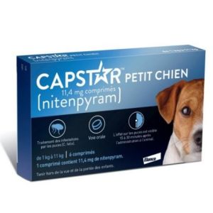 Capstar Petit Chien 11,4mg 6 Cpr