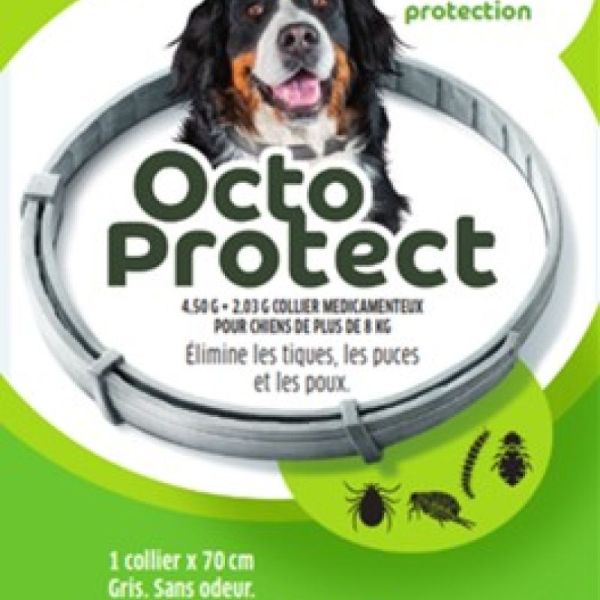 Octoprotect Collier Grand Chien