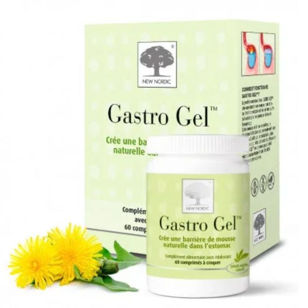 Gastro Gel Cpr à croquer Bt60