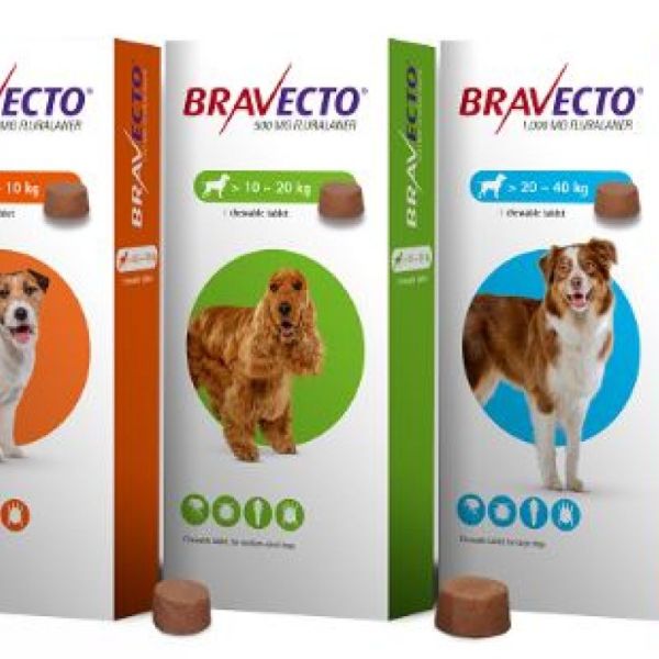 Bravecto 1000mg 20-40kg Cpr Bt1