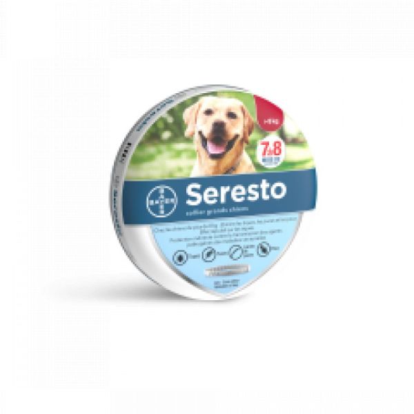 SERESTO Collier Grand Chien